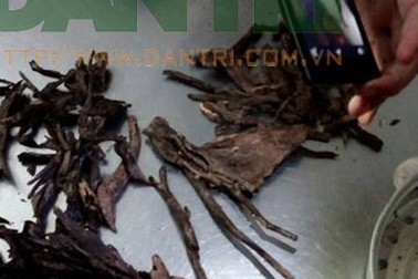 Vụ khúc trầm "vứt đi": Món hời hơn 3 tỷ "từ trên trời rơi xuống"