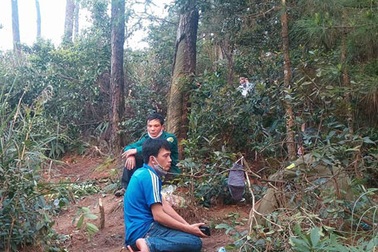 Phát hiện thi thể người đàn ông phân hủy trong rừng thông