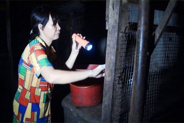 Người phụ nữ đi “săn” gián đêm