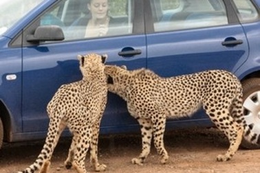 Tuyển tập những hình ảnh khoa học ấn tượng tuần qua