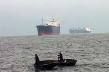 Tàu nghìn tấn không thể cập cảng do dân bắt tôm hùm trái phép