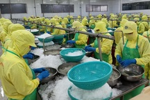 Chủ tịch Cà Mau lưu ý đảm bảo nơi làm việc, ăn, nghỉ cho người lao động