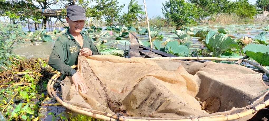 Lũ tràn đồng, người dân đầu nguồn nước vào mùa xúc lươn, bắt cá đồng - 4 Lũ tràn đồng, người dân đầu nguồn nước vào mùa xúc lươn, bắt cá đồng - 4