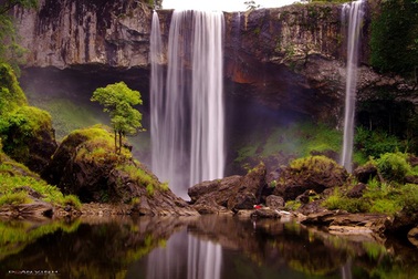 Đề nghị dừng xây dựng thuỷ điện trong khu bảo tồn thiên nhiên