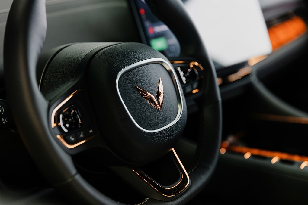 Chất Việt trên mẫu xe Lạc Hồng 900 LX của VinFast - 5