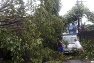 Siêu bão Haiyan càn quét miền trung Philippines