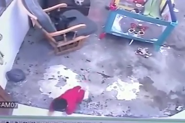 Chú mèo phản ứng cực nhanh cứu em bé khỏi bị ngã cầu thang