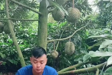 Chàng trai Đắk Lắk tự cách ly 21 ngày nơi căn chòi giữa rẫy