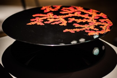 Được báo chí quốc tế khen ngợi, Hanoia xứng đáng là “Niềm tự hào Đông Nam Á”.