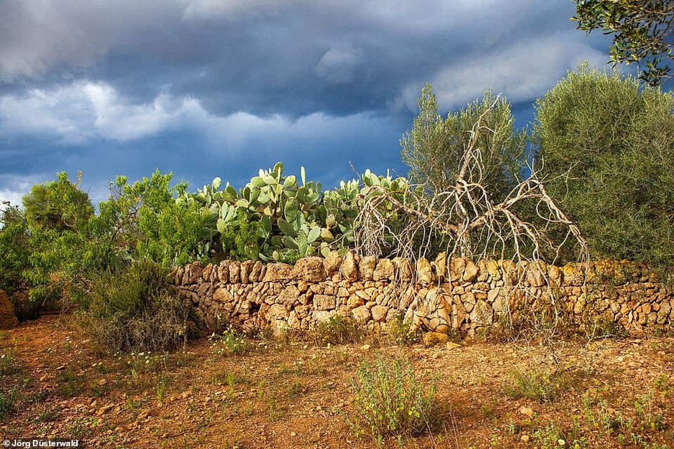 Bạn có nhìn thấy người mẫu khỏa thân trong ảnh này? - 11 Bạn có nhìn thấy người mẫu khỏa thân trong ảnh này? - 11
