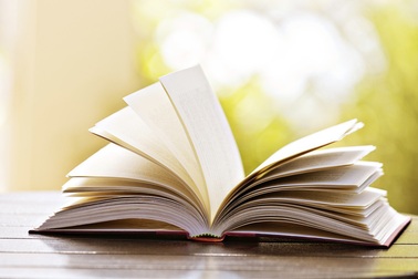 Muốn vui, hãy đọc tiểu thuyết trinh thám, hình sự