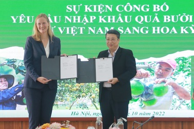 Quả bưởi tươi Việt Nam chính thức được xuất khẩu sang Mỹ