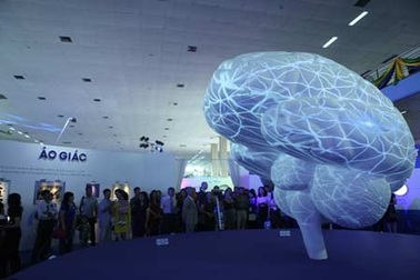 Khám phá cấu trúc kỳ diệu của bộ não qua trực quan sinh động