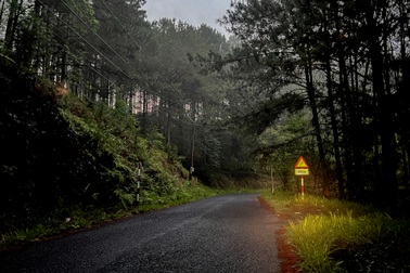 Đường khu du lịch nổi tiếng ở Đà Lạt tối om: Lắp đèn khắc phục