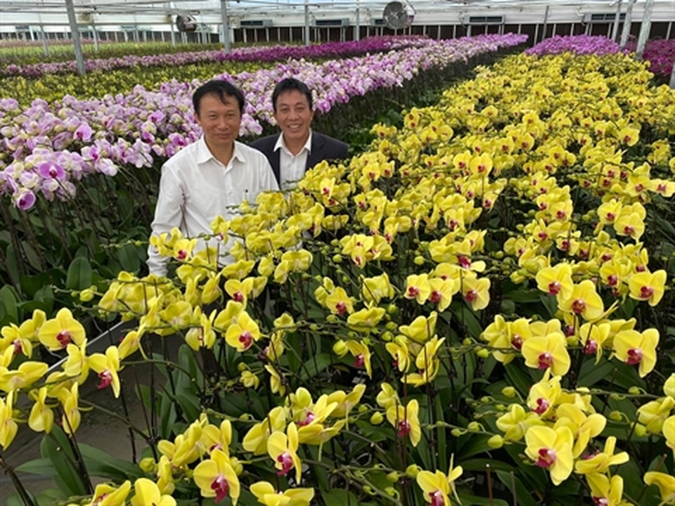 Trái đắng Phi điệp đột biến: Sắp nhiều như lan Hồ điệp - 3 Trái đắng Phi điệp đột biến: Sắp nhiều như lan Hồ điệp - 3