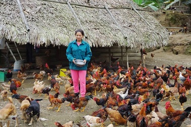 Cuộc trở về ngoạn mục của người phụ nữ mang án mua bán người