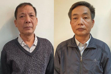 Vì sao 2 thành viên HĐTV Tổng Công ty Chè Việt Nam bị bắt?