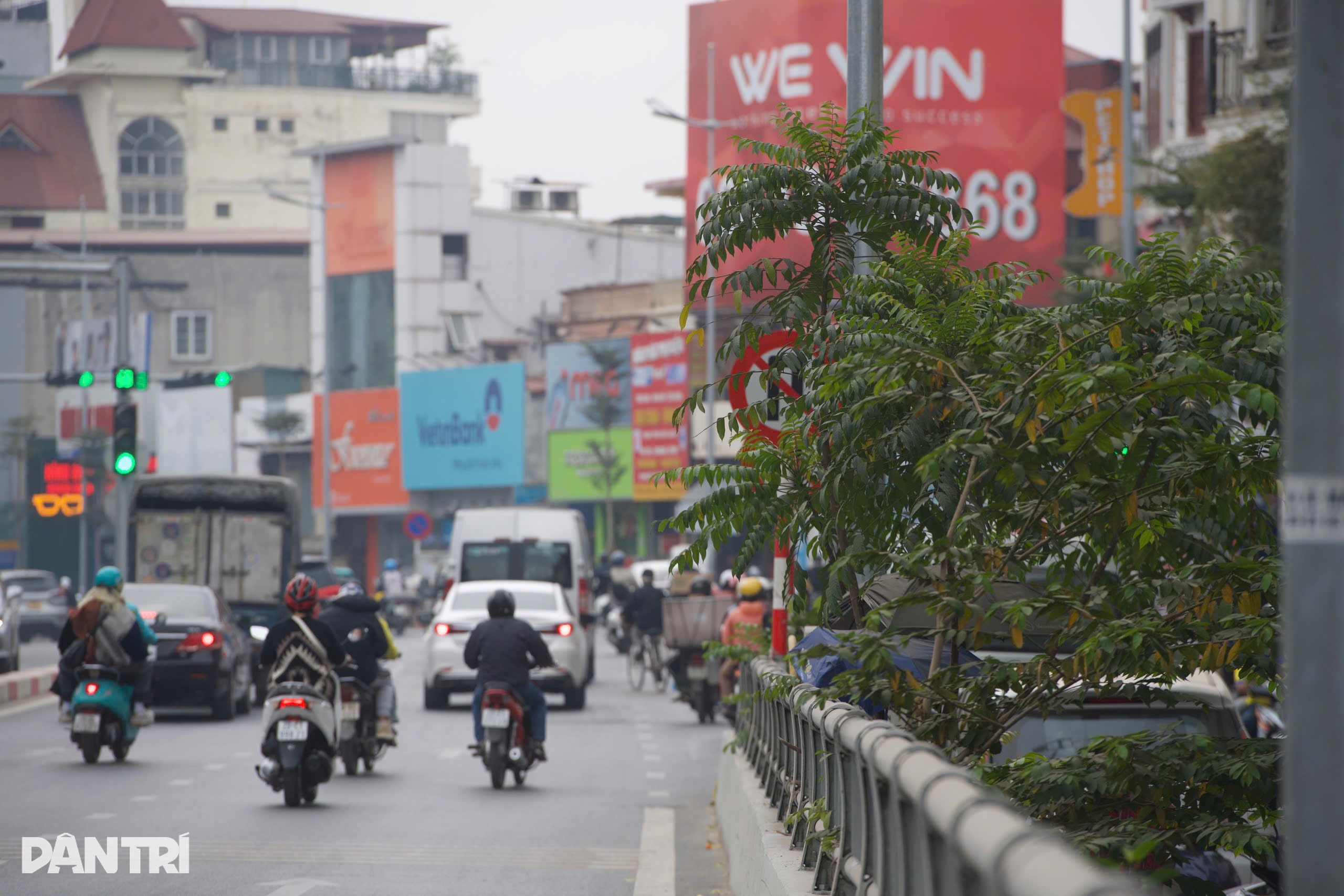 View - Hà Nội: Nhiều đèn tín hiệu, biển báo giao thông bị che khuất | Báo Dân trí