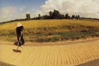 Công bố các cam kết gia nhập WTO