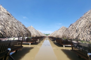 Du lịch sinh thái nông nghiệp ở Đồng Tháp vẫn còn trăn trở