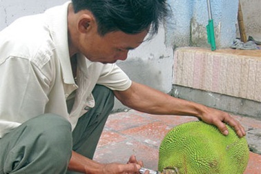 Kinh hãi trái cây bị “ép” chín bằng hóa chất