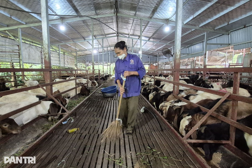 Cả thôn thu nhập cao nhờ nuôi “kho thuốc bổ biết đi” - 3