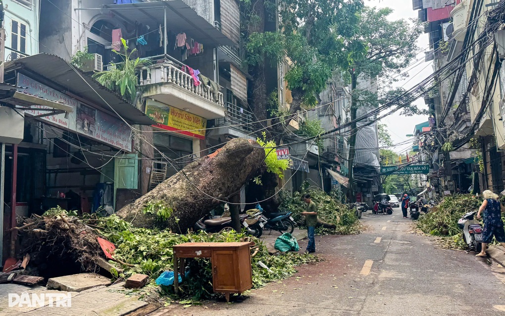 Hơn 40.000 cây xanh gãy đổ ở Hà Nội, có thể chỉ cứu được 3.000 cây - 1 Hơn 40.000 cây xanh gãy đổ ở Hà Nội, có thể chỉ cứu được 3.000 cây - 1