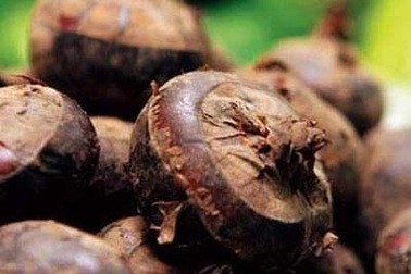 7 loại quả thay kem dưỡng ẩm