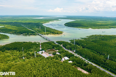 Khu đô thị lấn biển, cảng quốc tế Cần Giờ có tác động gì đến hệ sinh thái?