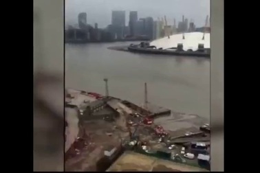 Video ghi được sinh vật lạ xuất hiện trên sông Thames