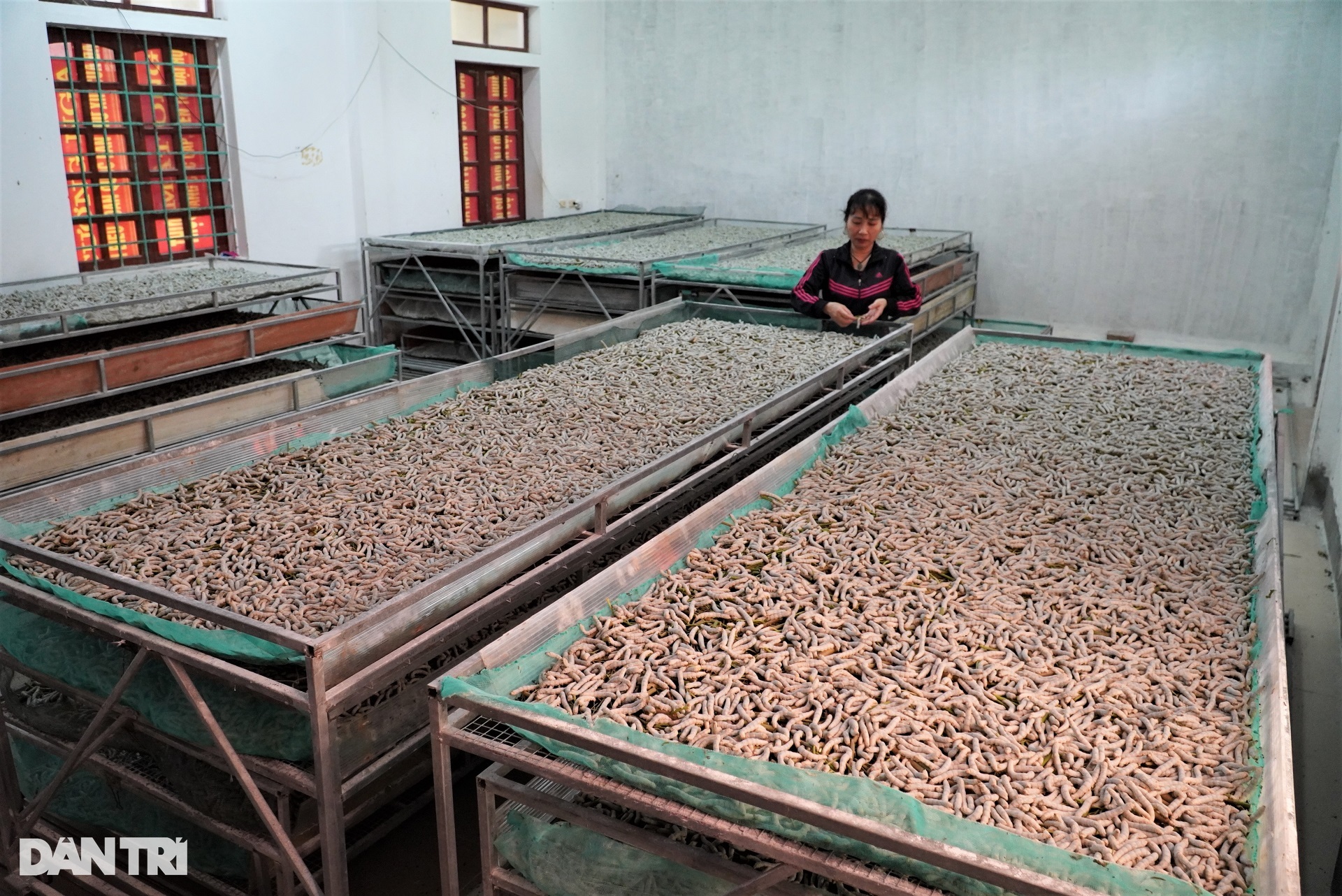 Đưa loại vật nuôi khó chiều vào phòng điều hòa, thu nửa tỷ đồng mỗi năm - 4