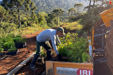 Những cột mốc trong báo cáo bền vững 2022 của Tetra Pak