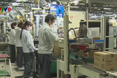 Robot thay thế nhân công phổ biến trong các nhà máy ở Nhật Bản