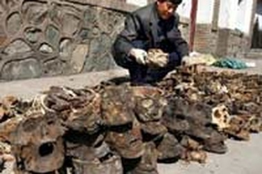 Phát hiện kinh hoàng về 121 chiếc đầu lâu ở Trung Quốc