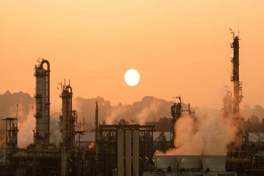 Trái đất sẽ tiếp tục nóng lên mà việc trồng cây không còn có thể cứu vãn