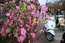 Vợ quyết ở lại Hà Nội ăn Tết, lý do khiến cả nhà chồng phẫn nộ