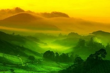 Tuyệt đẹp bộ sưu tập hình nền “đồng xanh” dành cho Windows