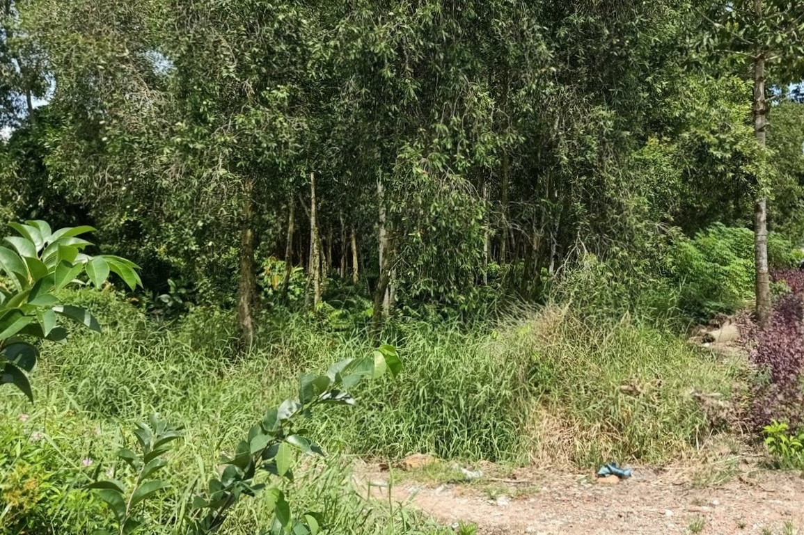 Bản án ngâm 2 năm: Tòa buộc thực hiện cấp sổ đỏ, huyện chưa thi hành - 1 Bản án ngâm 2 năm: Tòa buộc thực hiện cấp sổ đỏ, huyện chưa thi hành - 1