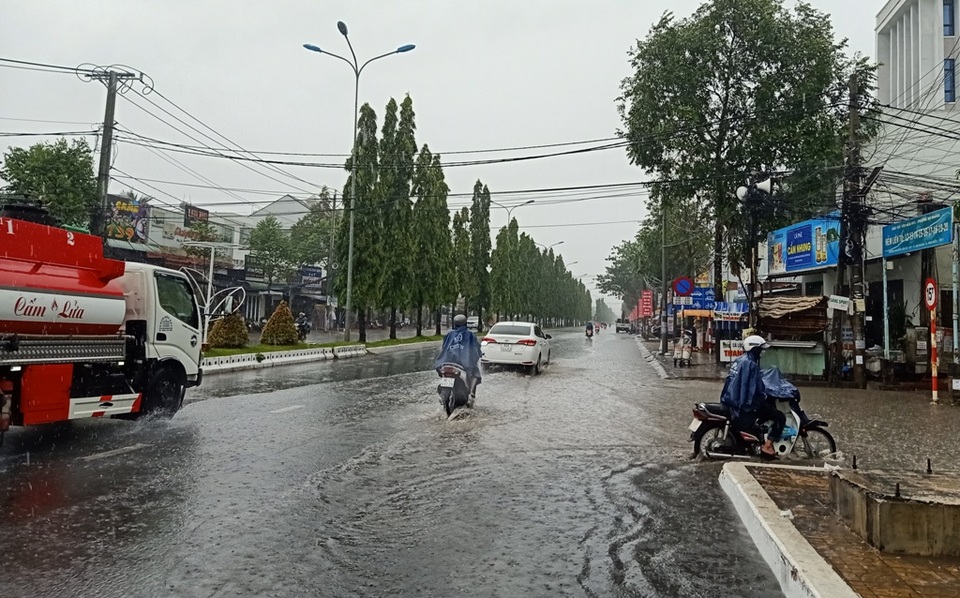 “Mưa vàng” giải nhiệt khắp Miền Tây sau bao ngày nắng hạn - 15 “Mưa vàng” giải nhiệt khắp Miền Tây sau bao ngày nắng hạn - 15