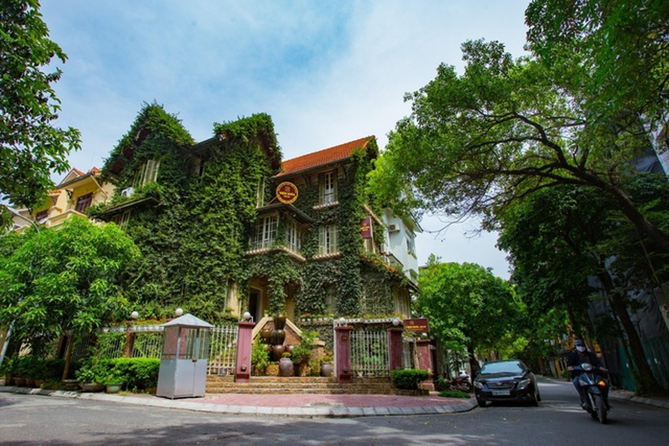 Những ngôi nhà phủ cây xanh, mỗi buổi sáng chim hót líu lo như trong rừng - 1 Những ngôi nhà phủ cây xanh, mỗi buổi sáng chim hót líu lo như trong rừng - 1