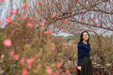 Hà Nội và nhiều nơi miền Bắc trời đẹp dịp Tết Nguyên đán 2025