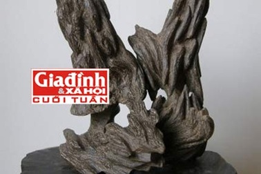 Tinh dầu trầm làm tăng “bản lĩnh đàn ông”: Chỉ là đồn thổi!