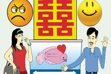 Về thu xếp lại...