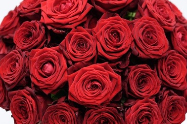 Đại gia mua tặng người yêu bó hồng giá gần 160 triệu đồng dịp Valentine