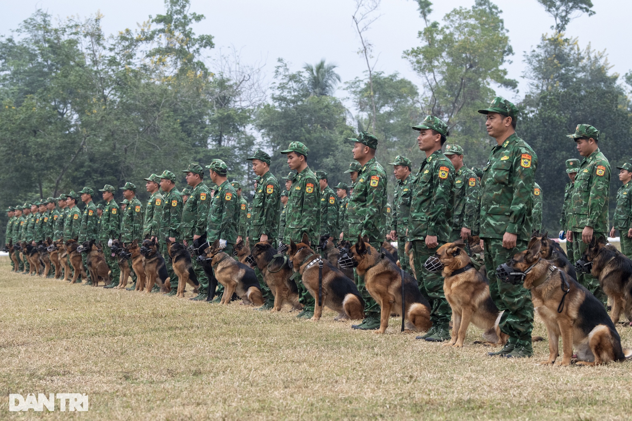 Quân khuyển trình diễn vượt vòng lửa, bắt tội phạm ở Triển lãm Quốc phòng - 2 Quân khuyển trình diễn vượt vòng lửa, bắt tội phạm ở Triển lãm Quốc phòng - 2