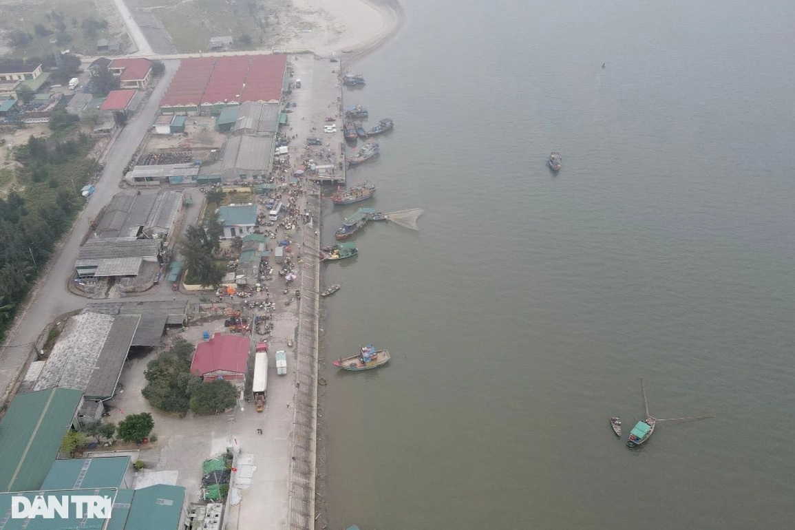 Ngư dân ven biển trúng đậm cá cơm - 1 Ngư dân ven biển trúng đậm cá cơm - 1