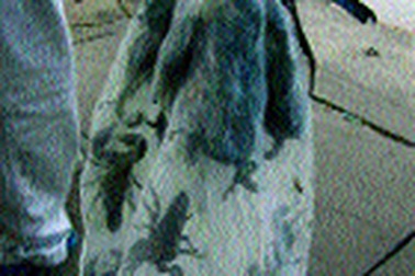 “Hàng độc” bán rong