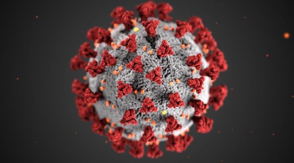 Các ca Covid-19 tái dương tính ở Việt Nam: Chỉ là xác virus, không lây lan! - 4 Các ca Covid-19 tái dương tính ở Việt Nam: Chỉ là xác virus, không lây lan! - 4