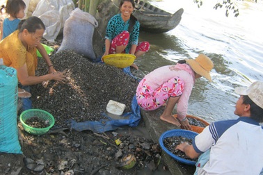 Một kiểu chợ độc đáo ở vùng biên