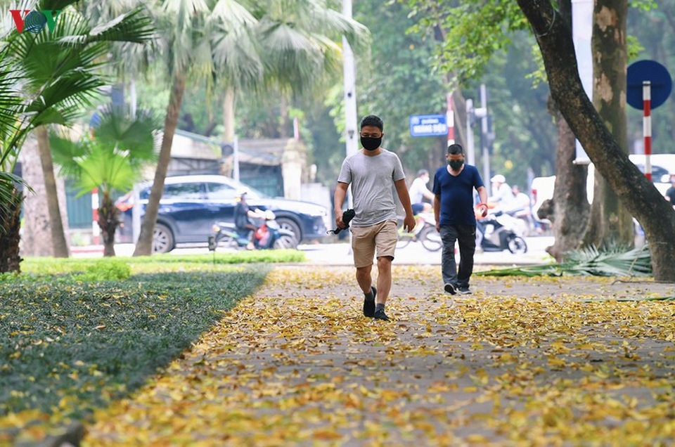 Phố phường Hà Nội đẹp nao lòng mùa sấu trút lá vàng - 17 Phố phường Hà Nội đẹp nao lòng mùa sấu trút lá vàng - 17